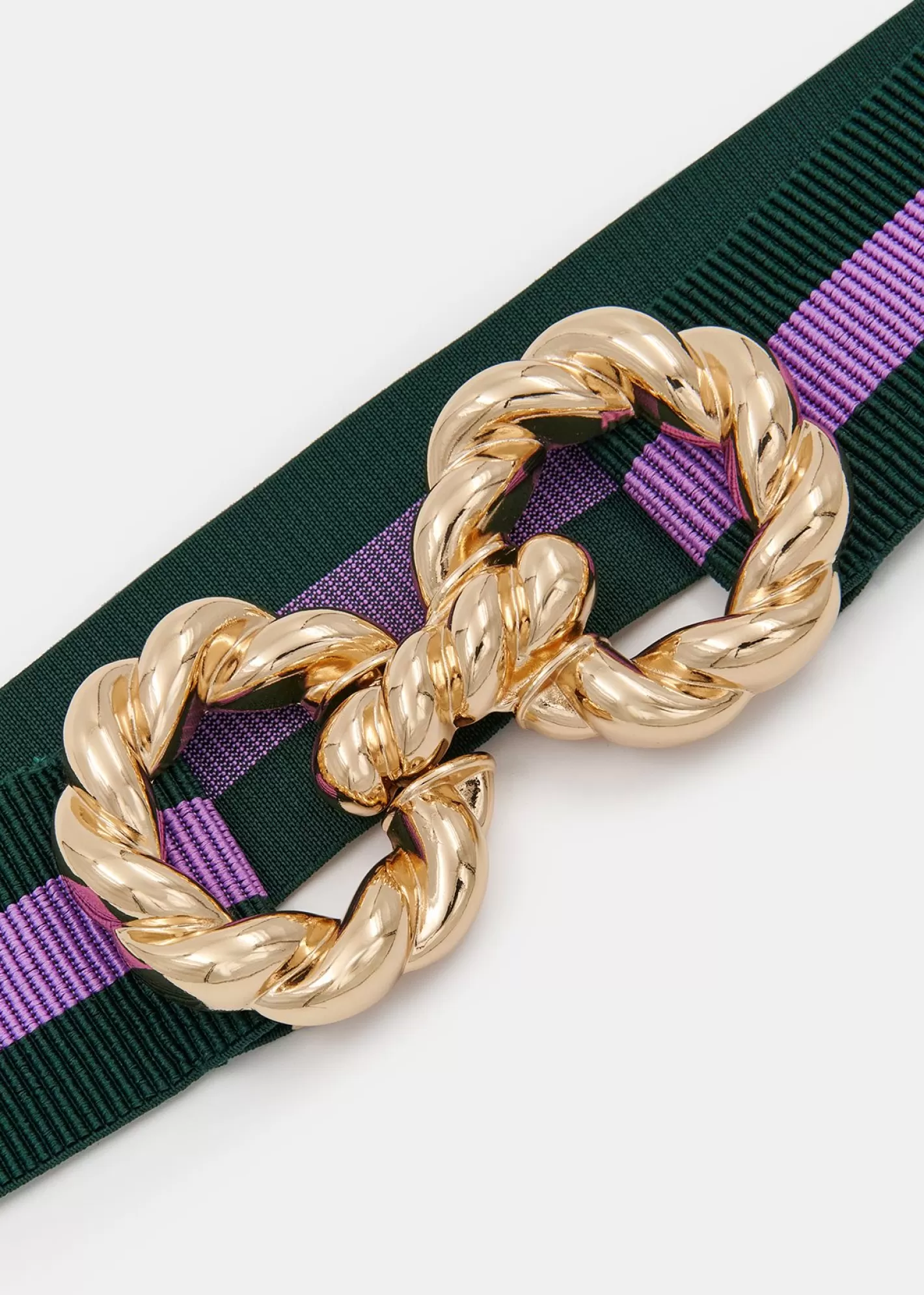 Online Dark green and purple striped belt with gold-tone buckle Fall 2024 Collection | Belts